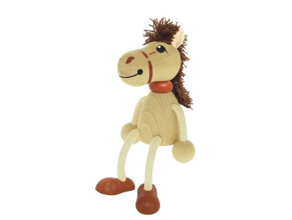 Horse brown mane